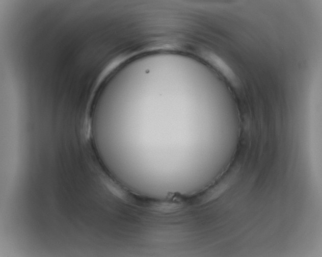 X0000113931324200910091554