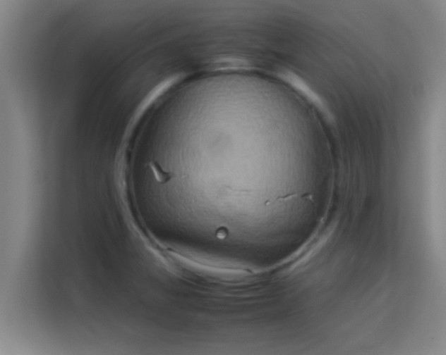 X0000113931325200910091554