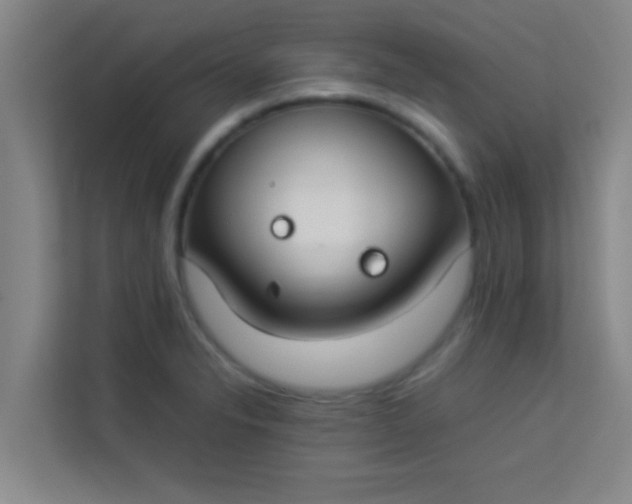 X0000113931326200910091554