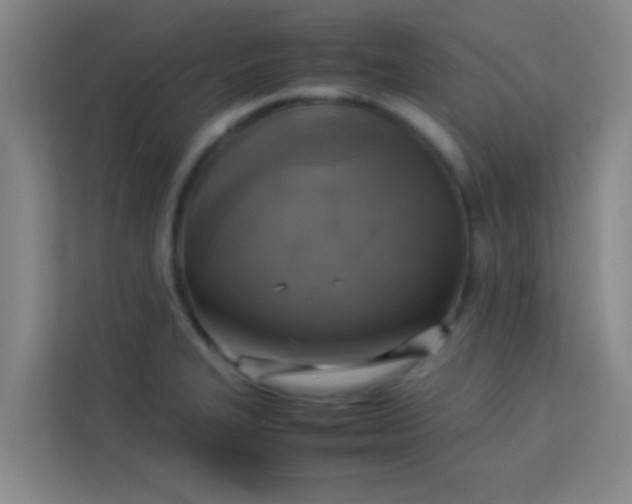 X0000113931327200910091554