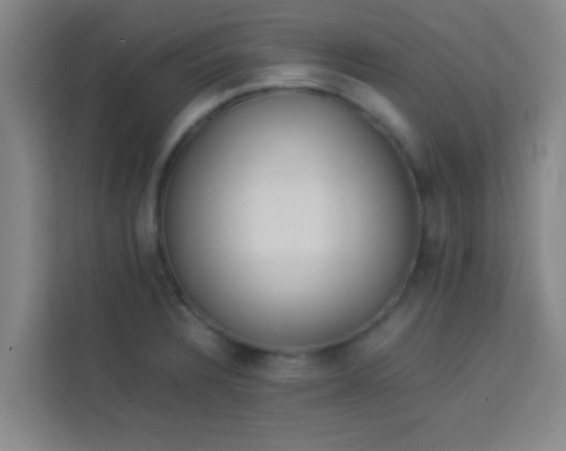 X0000113931328200910091554