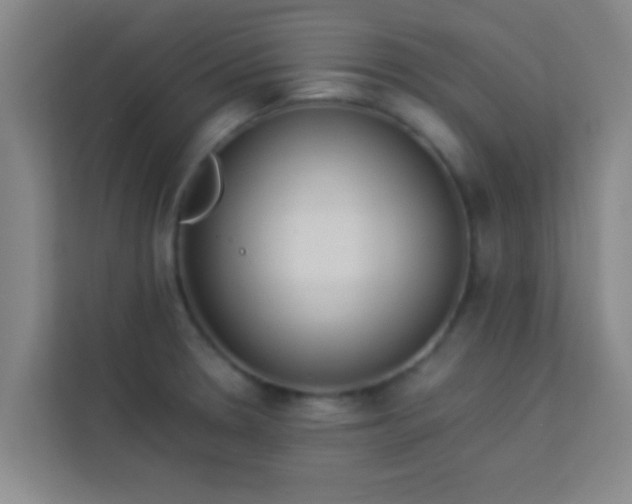 X0000113931330200910091554