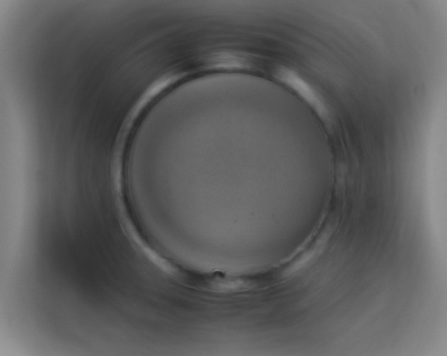 X0000113931331200910091554