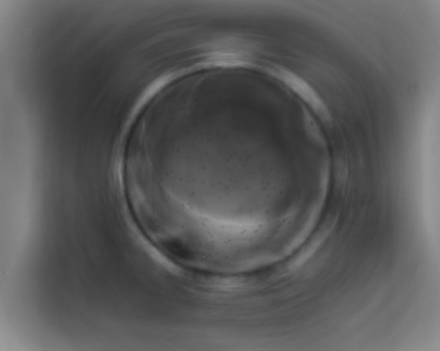 X0000113931334200910091554