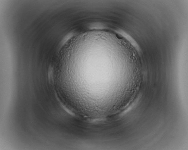 X0000113931337200910091554