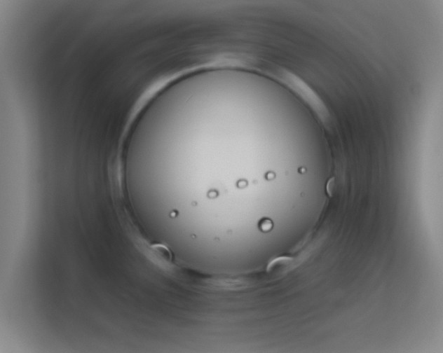 X0000113931340200910091554