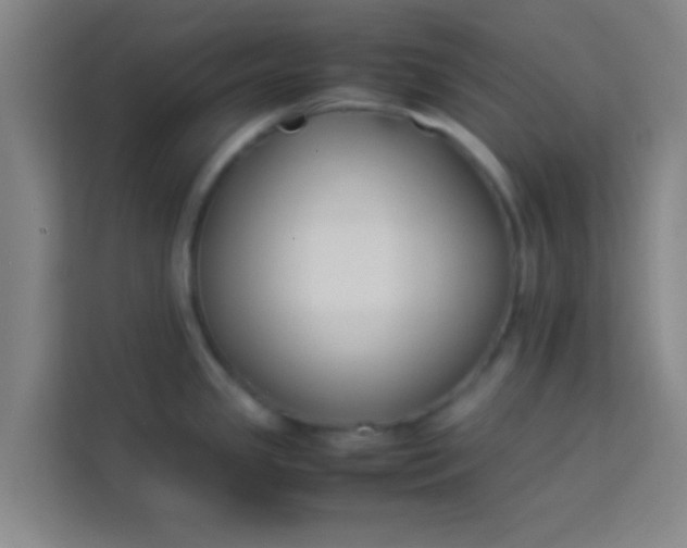 X0000113931341200910091554