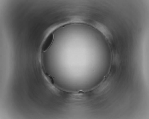 X0000113931342200910091554