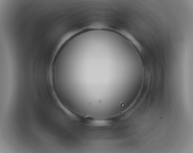 X0000113931343200910091554