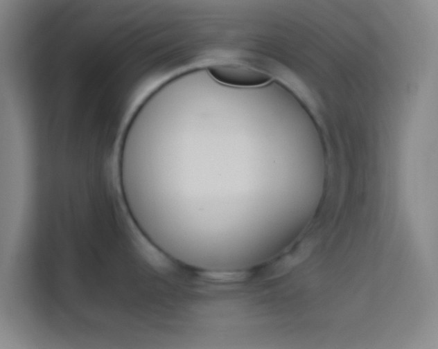 X0000113931344200910091554