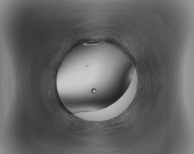 X0000113931345200910091553