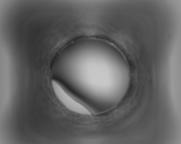 X0000113931349200910091553