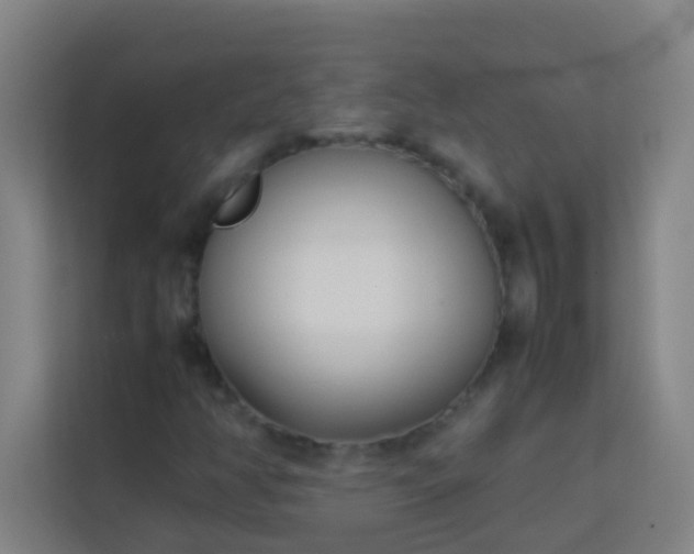 X0000113931350200910091553