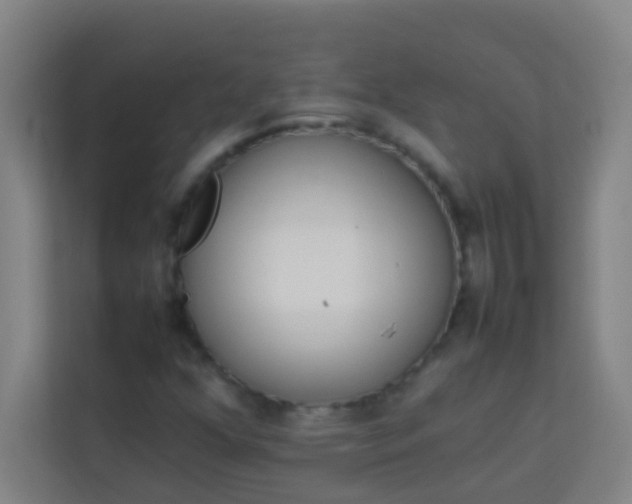 X0000113931352200910091553