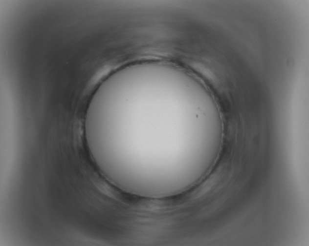 X0000113931355200910091553