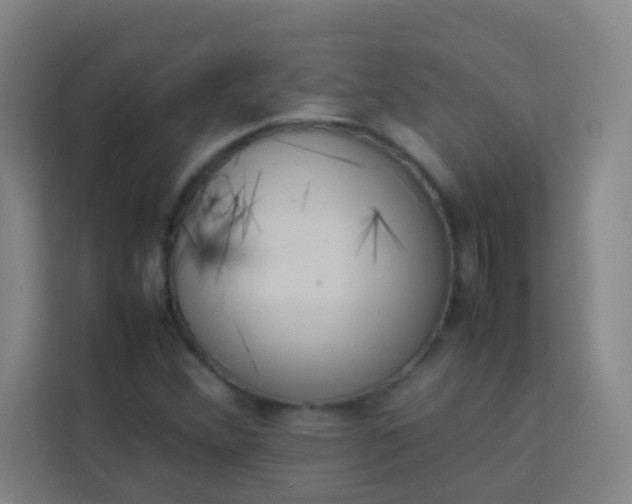 X0000113931356200910091553