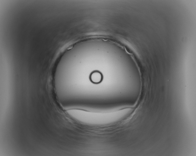 X0000113931357200910091553