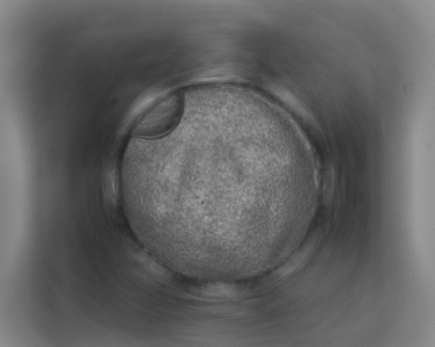 X0000113931358200910091553