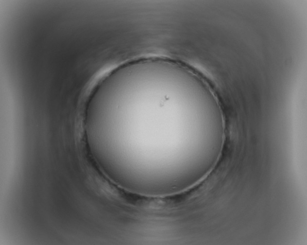 X0000113931359200910091553