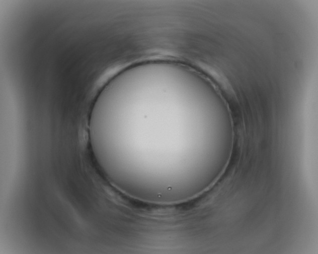 X0000113931363200910091553