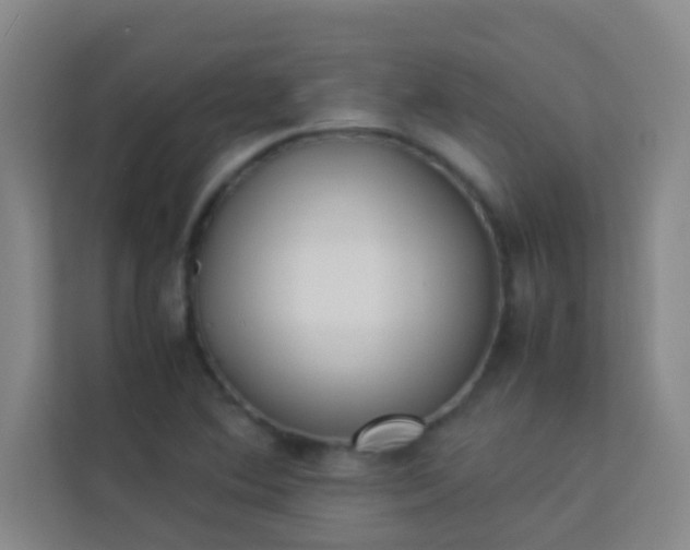 X0000113931364200910091553