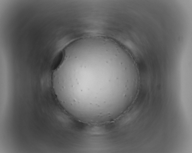 X0000113931365200910091553