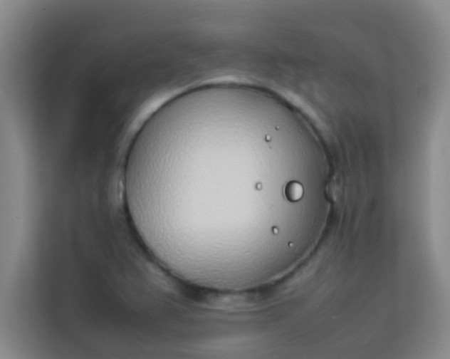 X0000113931367200910091553