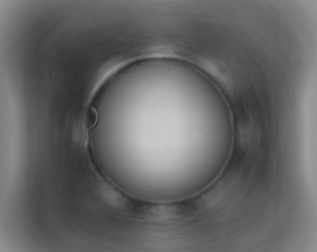 X0000113931368200910091553