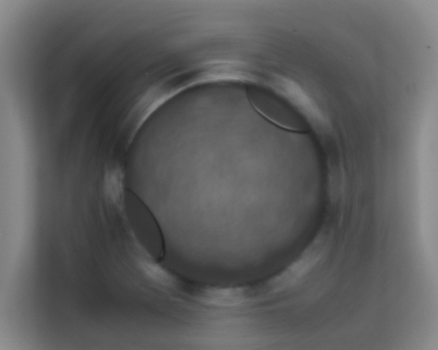 X0000113931369200910091553