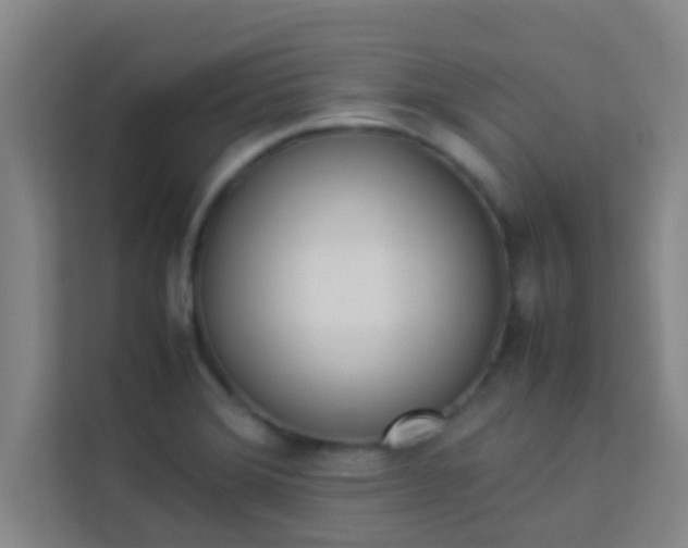 X0000113931372200910091553