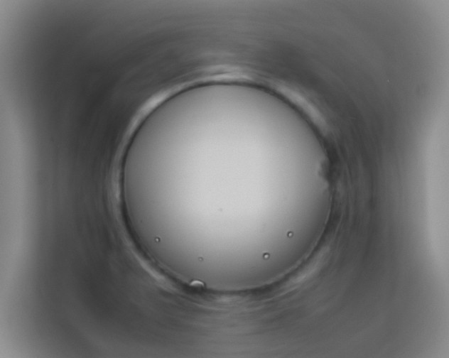 X0000113931375200910091553