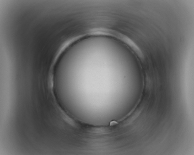 X0000113931376200910091553