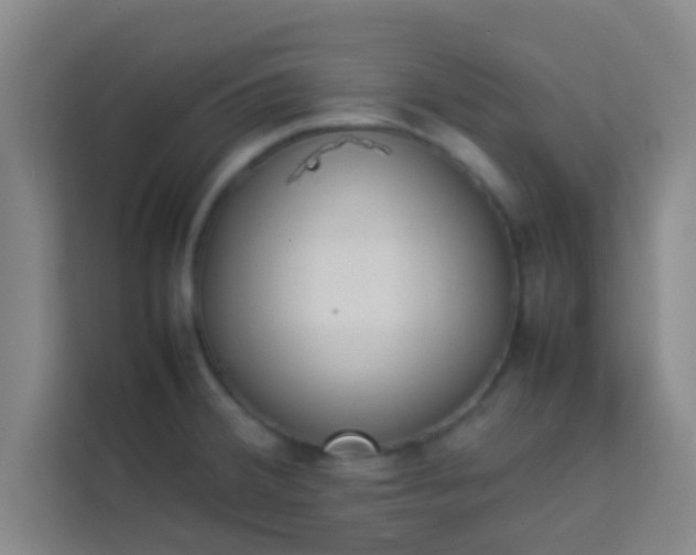 X0000113931380200910091553