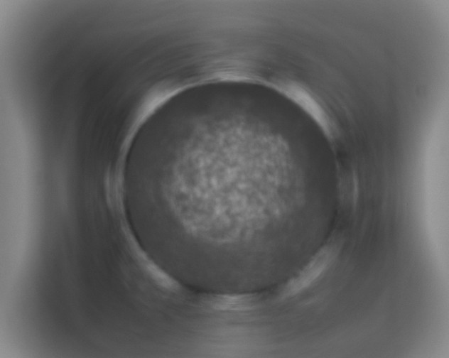 X0000113931381200910091553