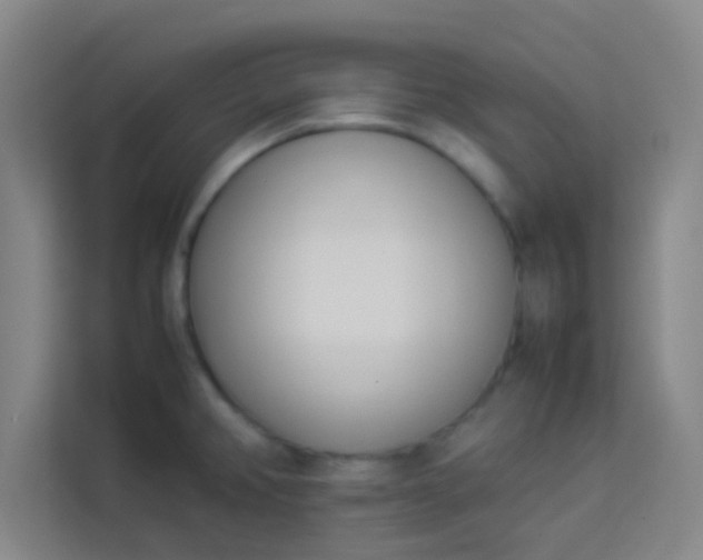 X0000113931382200910091553