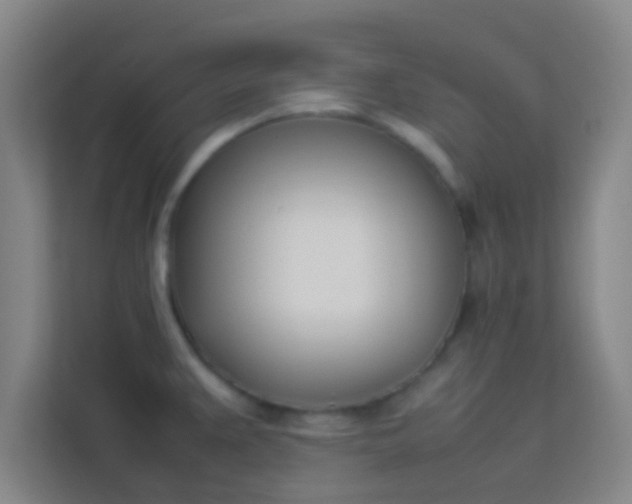 X0000113931383200910091553