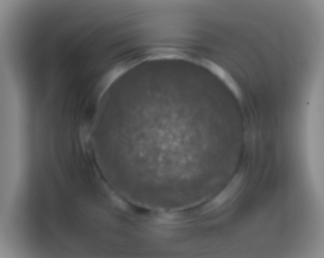 X0000113931385200910091553