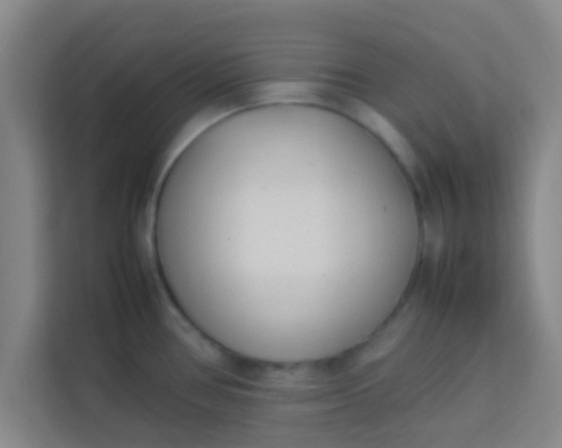 X0000113931386200910091553