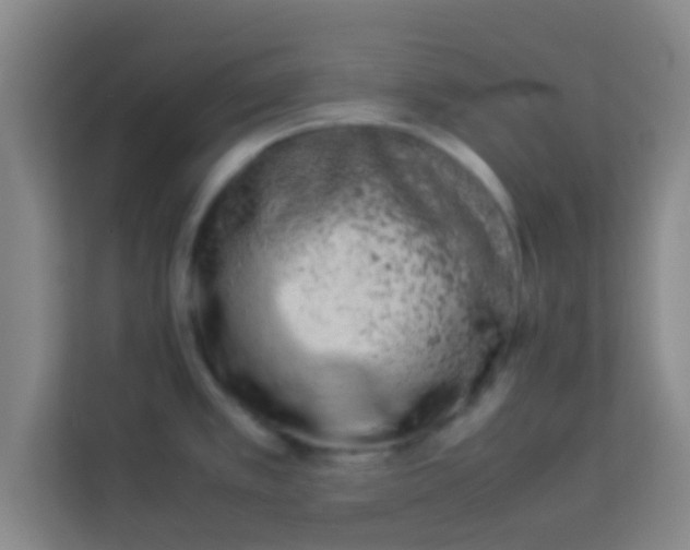 X0000113931389200910091553