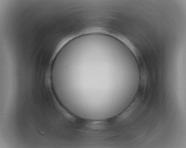 X0000113931390200910091553