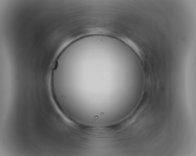 X0000113931391200910091553