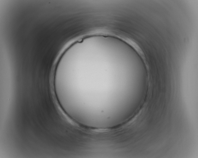 X0000113931392200910091553