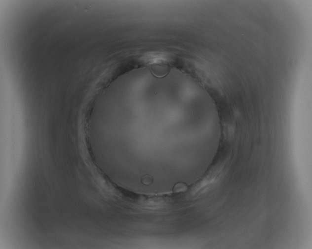 X0000113931393200910091552