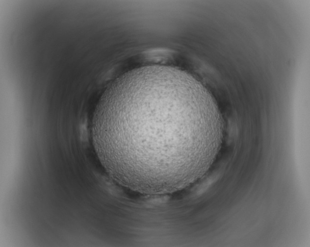 X0000113931394200910091552