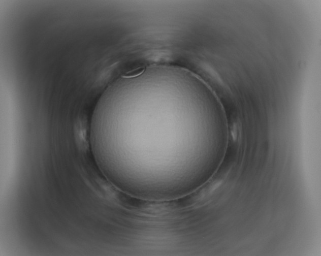 X0000113931396200910091552