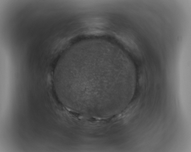 X0000113931397200910091552