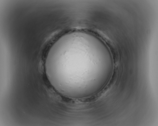 X0000113931398200910091552