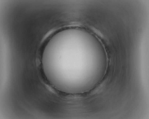 X0000113931400200910091552