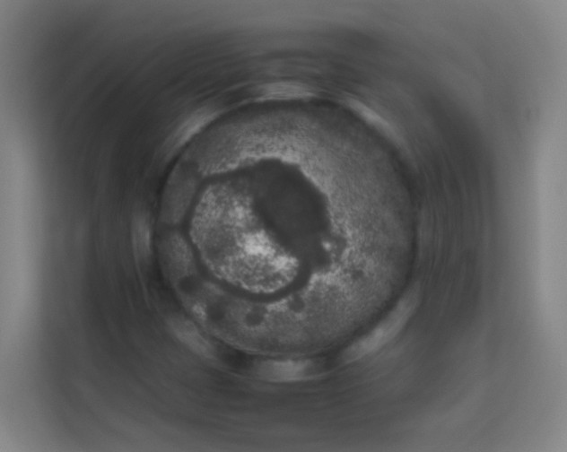 X0000113931401200910091552