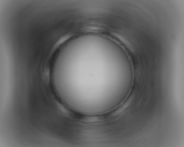 X0000113931402200910091552